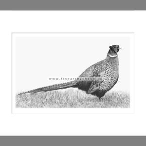 Pheasant Art Print Giclee Limited Edition