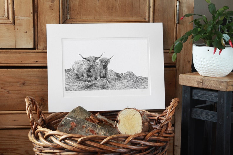 Highland Cattle Coo Art Print Limited Edition Giclee image 1