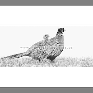 Pheasants Art Print Giclee Limited Edition
