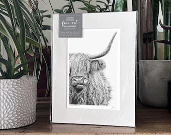 Impresión artística de vaca de las Tierras Altas en Giclée, edición limitada