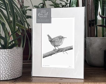 Wren Art Print Giclee Limited Edition