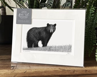 Black Bear Art Print Giclee Limited Edition