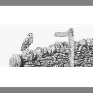 Owl Art Print Giclee Limited Edition