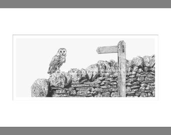 Owl Art Print Giclee Limited Edition