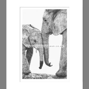 Elephant Art Print Giclee Limited Edition