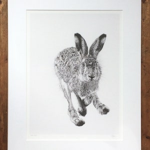 Hare Art Print Giclee Limited Edition image 3