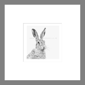 Hare Art Print Giclee Limited Edition