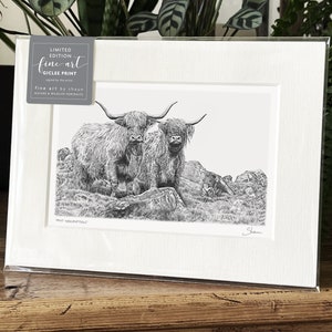 Highland Cattle Coo Art Print Limited Edition Giclee image 7