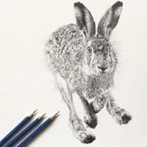 Hare Art Print Giclee Limited Edition image 7