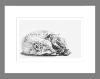 Fox Art Print Giclee Limited Edition