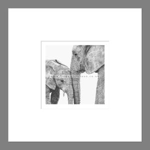 Elephants Art Print Giclee Limited Edition
