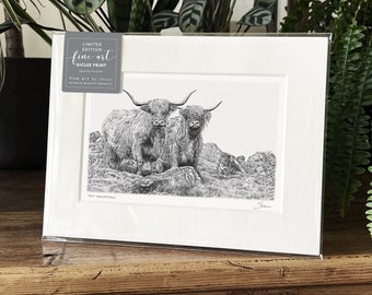 Highland Cow Art Print Giclee Limited Edition