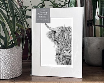 Impresión artística de vaca de las Tierras Altas en Giclée, edición limitada
