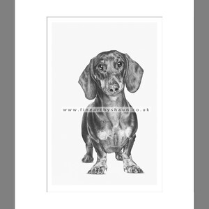 Dachshund Dog Art Print Giclee Edycja Limitowana
