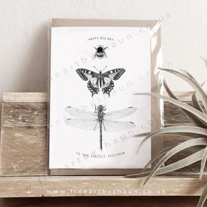Humingbird Birthday Greeting Card