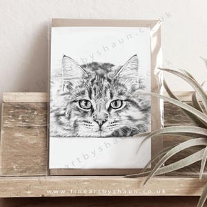 Carte de voeux d'anniversaire de chat Maine coon