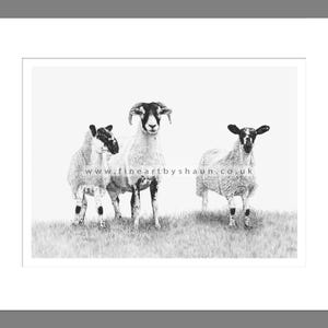 3 Schaftäler Art Print Giclee Limited Edition