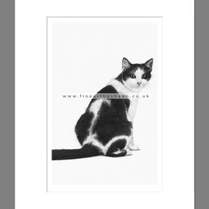 Fox Art Print Giclee Limited Edition