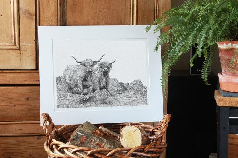 Highland Cattle Coo Art Print Limited Edition Giclee image 9