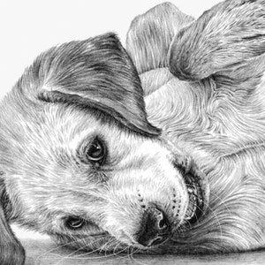 Labrador Puppy Art Print Limited Edition Giclee image 3