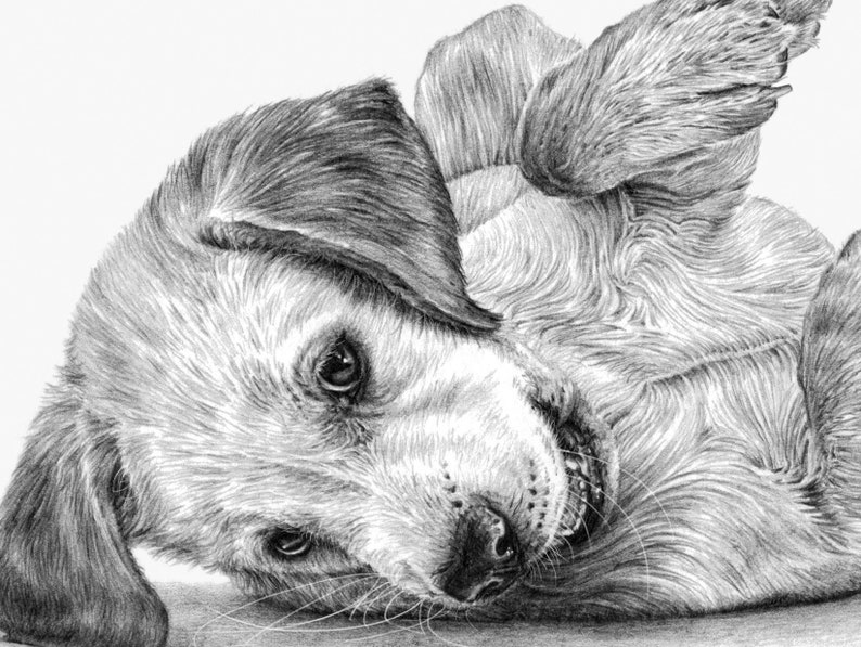 Labrador Puppy Art Print Limited Edition Giclee image 3