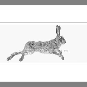 Hare Art Print Giclee Limited Edition