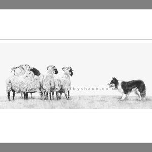 Sheep Herding Art Print Giclee Limited Edition
