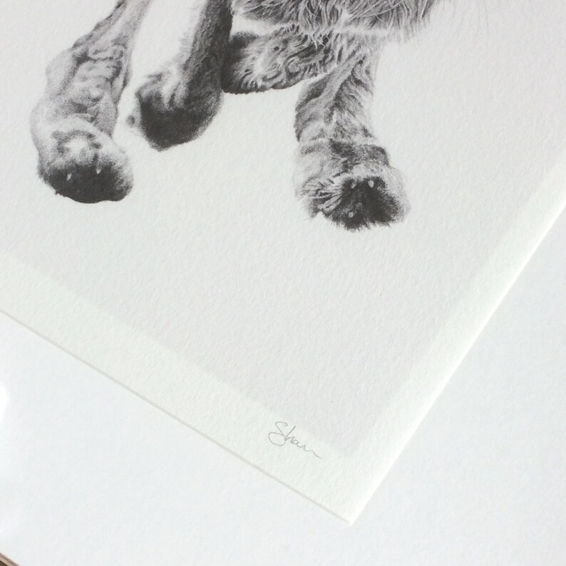 Hare Art Print Giclee Limited Edition image 5