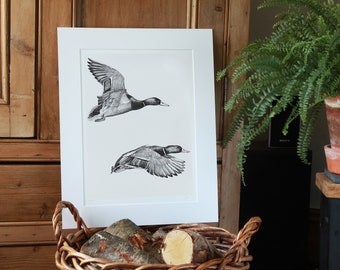 Flying Mallard Ducks Art Print Giclee Limited Edition