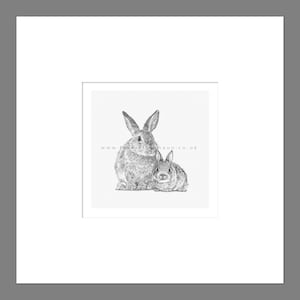 Rabbit Art Print Giclee Limited Edition