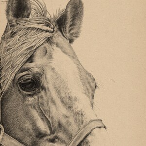 Personalised Horse A5 Sketch Notepad Kraft image 3