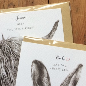 May include: Two greeting cards with donkey illustrations. The top card says "Jenna - Herd - It's your birthday". The bottom card says "Bucks &hearts; Ears to a - Happy Day - "