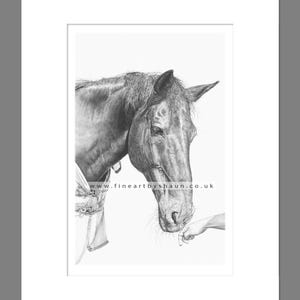 Pferd Kunstdruck Giclee Limitierte Auflage