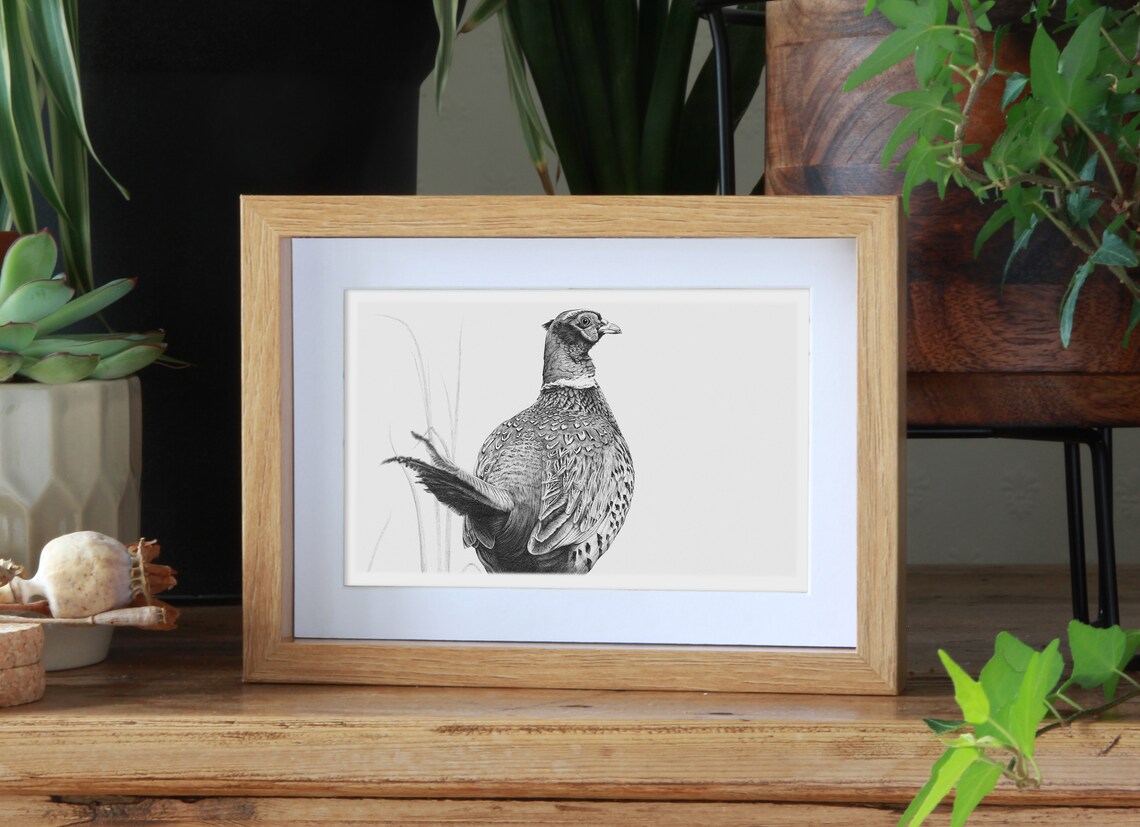 Pheasant Art Print Framed Gift | Etsy