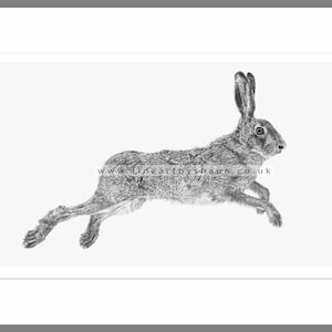 Hare Art Print A2 Giclee Limited Edition