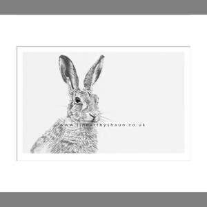 Hare Art Print Giclee Limited Edition