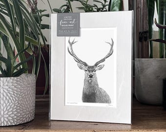 Impresión artística de ciervo en edición limitada Giclée