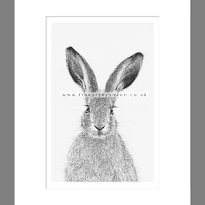 Hare Art Print Giclee Limited Edition