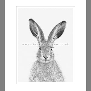 Hare Art Print Giclee Limited Edition