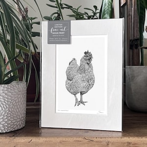 Chicken Hen Art Print Giclee Limited Edition