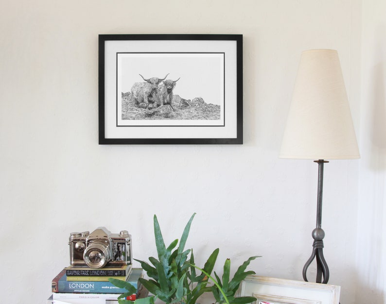 Highland Cattle Coo Art Print Limited Edition Giclee image 3