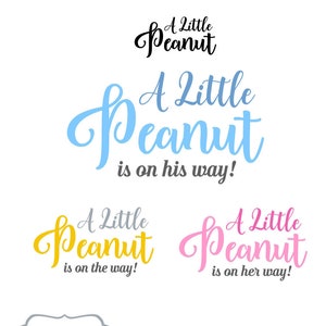 Een beetje Peanut illustraties behoort op zijn manier, haar manier, de manier waarop. Vector Illustrated pinda wordings.Commercial gebruiken, EPS bewerkbare, PNG-indeling