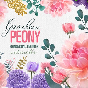 Peony floral Clip art Pink Pink Purple Flowers Gold Leaves Peonies Digital Download PNG Wedding Invitations Nursery