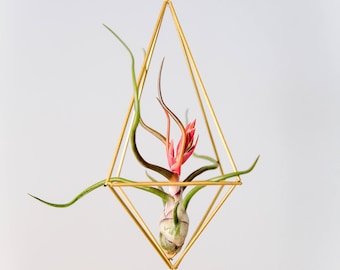 Geometric Modern Industrial Himmeli Air Plant Holder