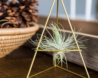 Set of 2 Geometric Modern Industrial Himmeli Table Air Plant Holder