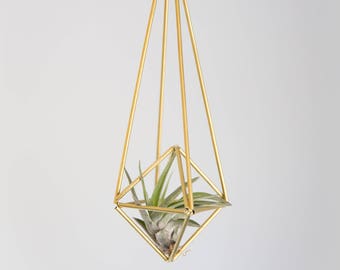 Geometric Modern Industrial Himmeli Mini Louvre Air Plant Holder