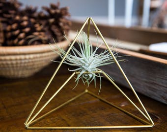 Geometric Modern Industrial Himmeli Bungee Air Plant Holder