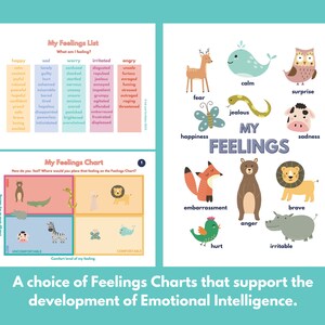 May include: Two colorful charts designed to help children identify and understand their feelings. The first chart lists various emotions, while the second chart uses animals to represent different feelings.