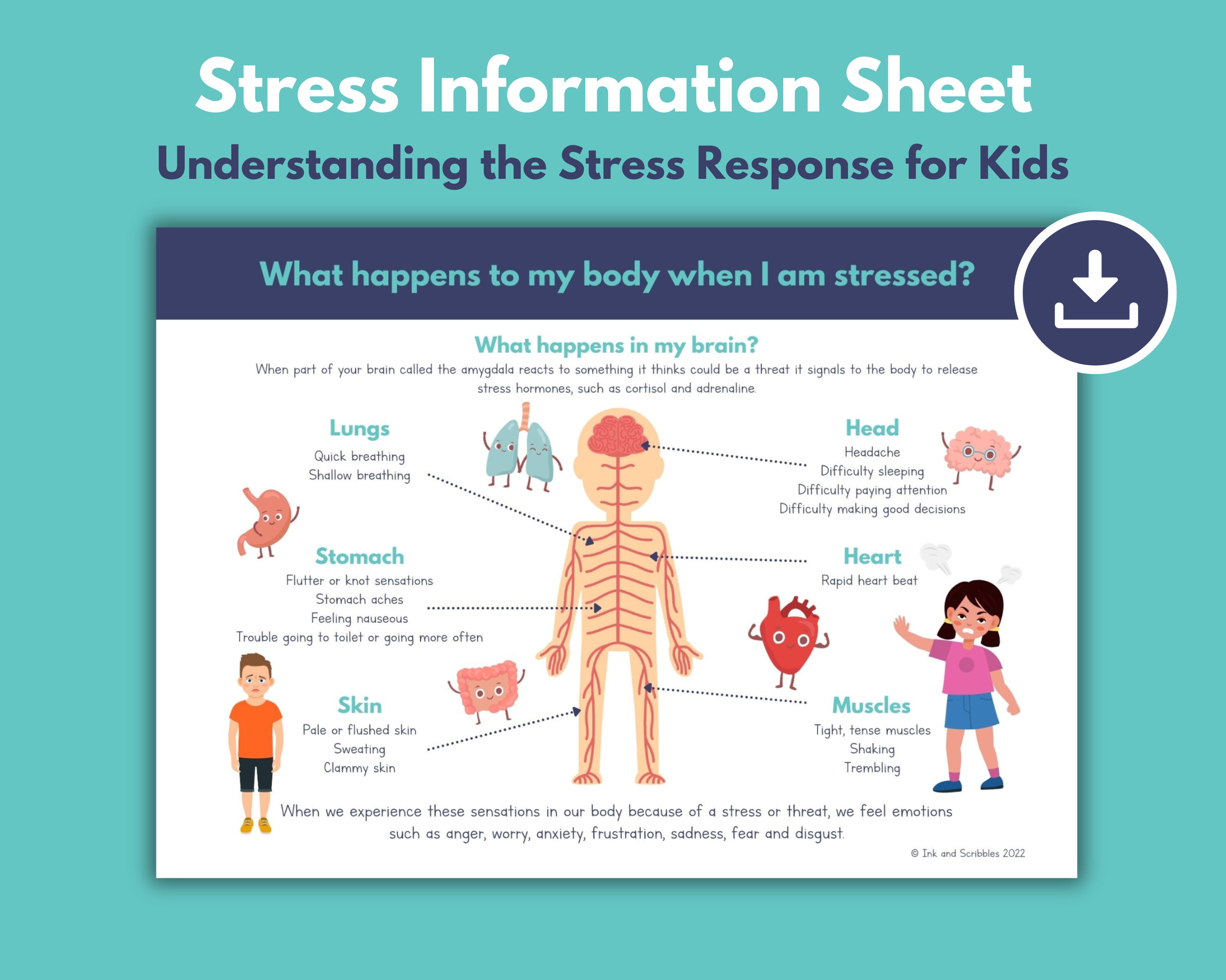 Stress Response Kids PRINTABLE Fight Flight, Understand Stress ...