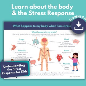 Stress Response Kids PRINTABLE | Fight Flight, Understand Stress, Emotions in Body Sensations and Signals | Nervous System Education